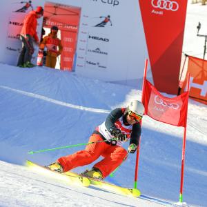 GEPA #audiquattroskicup
