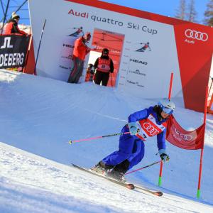 GEPA #audiquattroskicup