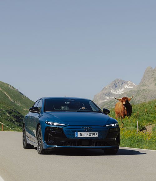 Audi driving experience
