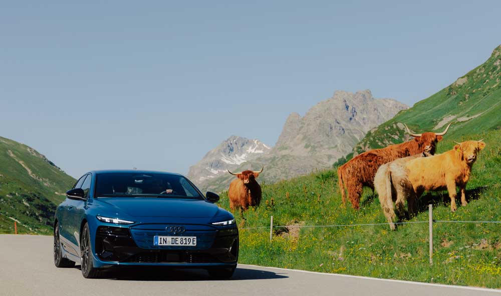 Audi driving experience